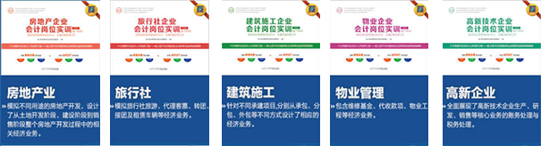 行业会计主管
